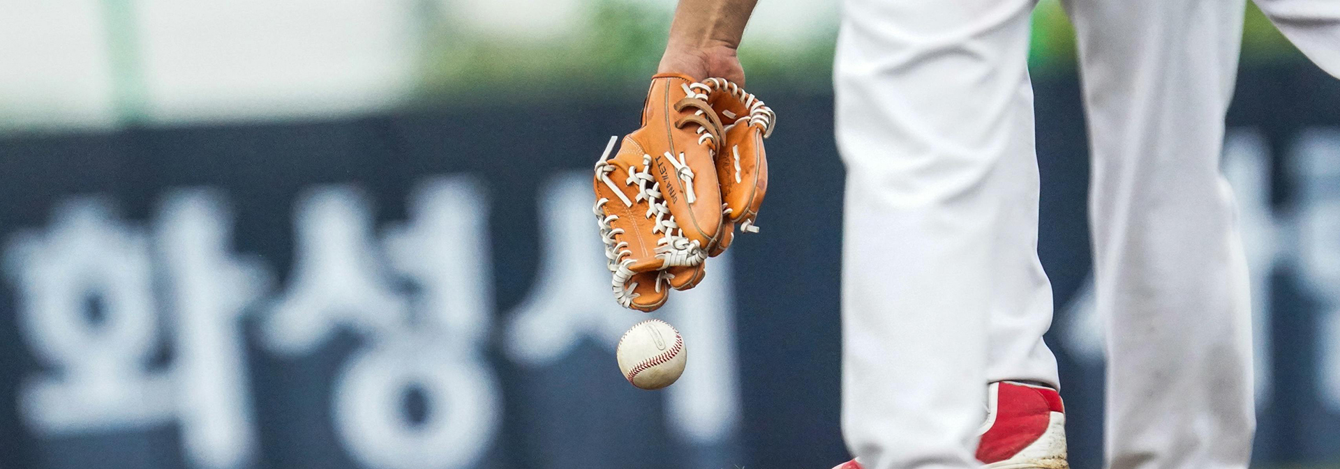 Baseball Store -Baseball Store 1 1