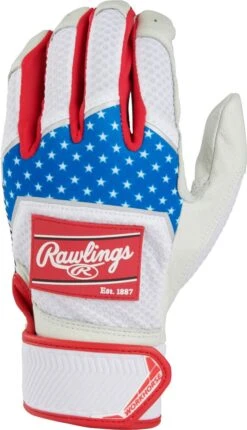 Rawlings Workhorse Youth Baseball Batting Gloves WH22BY -Baseball Store rawlings workhorse youth baseball batting gloves wh22by 33