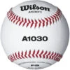 Wilson Champion Series WTA1030BFS Game And Practice Baseball -Baseball Store wilson champion series wta1030bfs game and practice baseball 5