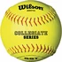 Wilson Collegiate Series WTA9010BSST Collegiate 12 Inch Softball -Baseball Store wilson collegiate series wta9010bsst collegiate 12 inch softball 11